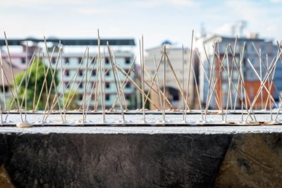 ochrana proti holubům na balko