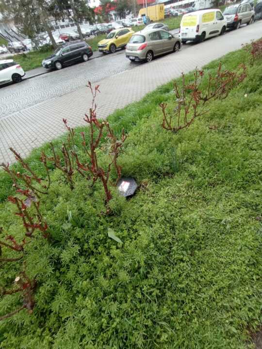 hubení potkanů Praha 7