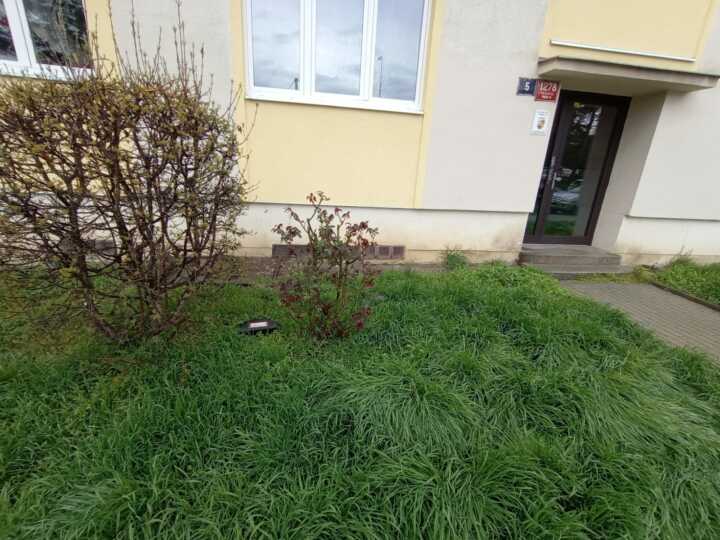 hubení potkanů Praha 7