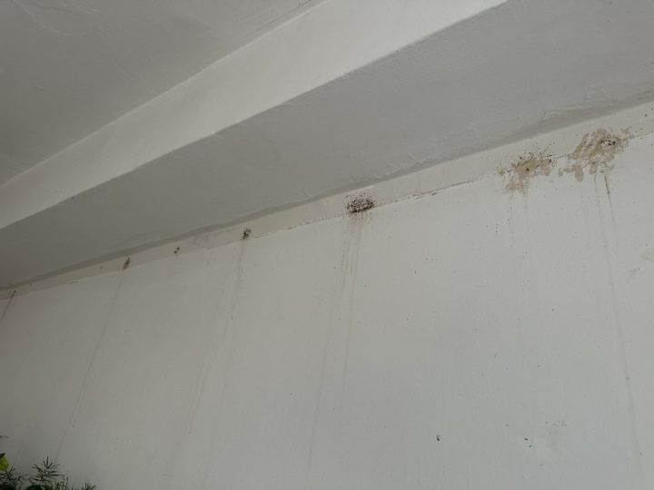 Hubení Štěnic na ubytovně