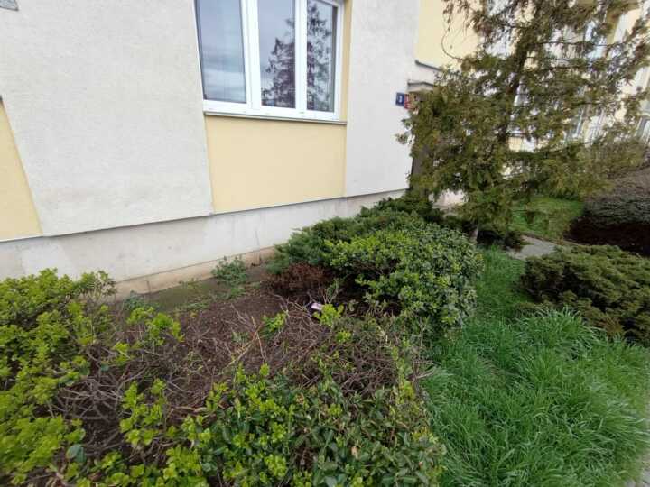 likvidace potkanů Praha 9