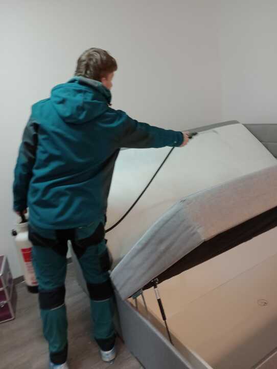 Proces hubení štěnic v bytě
