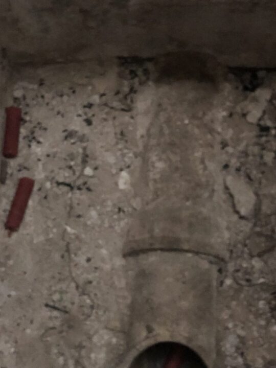 likvidace potkanů