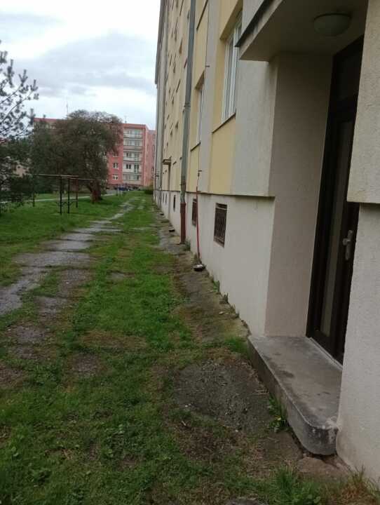 hubení potkanů Praha 1
