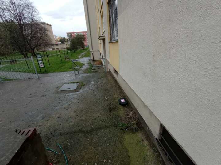 hubení potkanů Praha 8