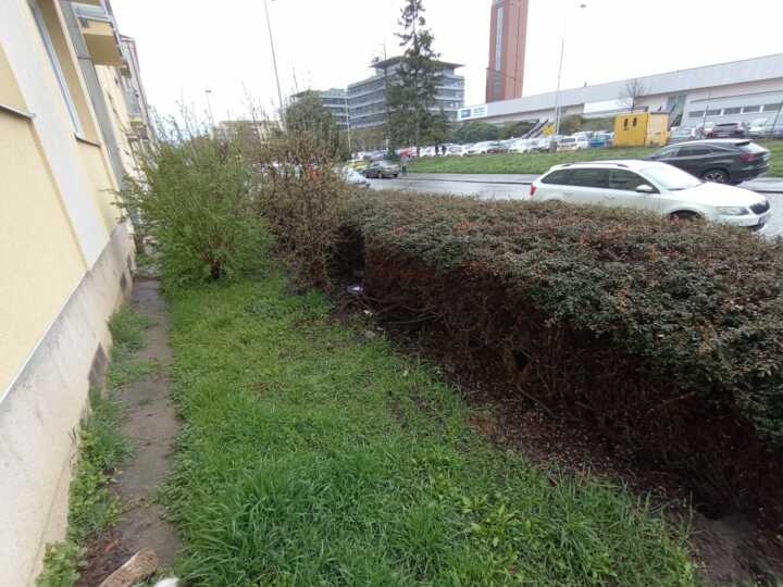 likvidace potkanů Praha 5
