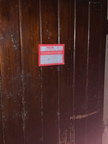 Deratizace v restauračním zařízení