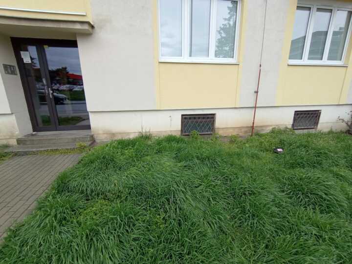 hubení potkanů Praha 2